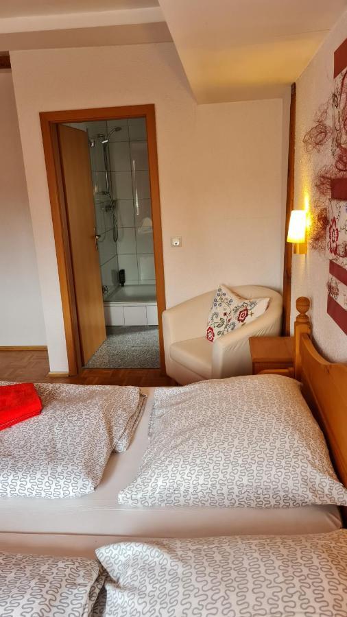 Hotel Kartaeuser Hof Mainz Боденхайм Экстерьер фото
